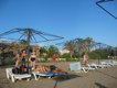 Professional Beach Volleyball