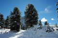 Tour durch die Dolomiten zum Gardasee, Italien