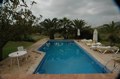 Swimmingpool auf der Finca