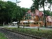 Rogge in D&uuml;nsen